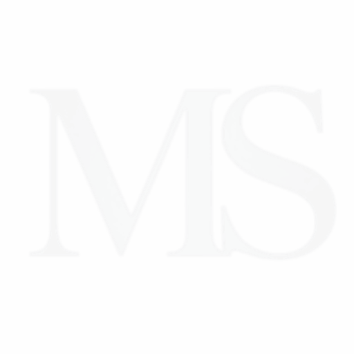 logo ms white